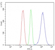 Flow cytometry testing of mouse HEPA1-6 cells with HSPA8 antibody at 1ug/million cells (blocked with goat sera); Red=cells alone, Green=isotype control, Blue= HSPA8 antibody.