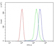 Flow cytometry testing of human SiHa cells with MCAM antibody at 1ug/million cells (blocked with goat sera); Red=cells alone, Green=isotype control, Blue= MCAM antibody.