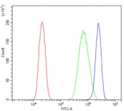 Flow cytometry testing of human PC-3 cells with LIN28A antibody at 1ug/million cells (blocked with goat sera); Red=cells alone, Green=isotype control, Blue= LIN28A antibody.