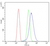 Flow cytometry testing of human HeLa cells with BUB1B antibody at 1ug/million cells (blocked with goat sera); Red=cells alone, Green=isotype control, Blue= BUB1B antibody.