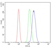 Flow cytometry testing of human 293T cells with GATA3 antibody at 1ug/million cells (blocked with goat sera); Red=cells alone, Green=isotype control, Blue= GATA3 antibody.