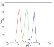 Flow cytometry testing of human HL-60 cells with USP15 antibody at 1ug/million cells (blocked with goat sera); Red=cells alone, Green=isotype control, Blue= USP15 antibody.