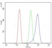 Flow cytometry testing of human HeLa cells with Vinculin antibody at 1ug/million cells (blocked with goat sera); Red=cells alone, Green=isotype control, Blue= Vinculin antibody.