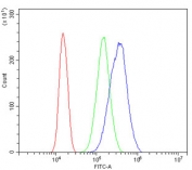 Flow cytometry testing of human 293T cells with GLS antibody at 1ug/million cells (blocked with goat sera); Red=cells alone, Green=isotype control, Blue= GLS antibody.