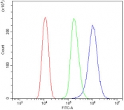 Flow cytometry testing of mouse HEPA1-6 cells with AKAP12 antibody at 1ug/million cells (blocked with goat sera); Red=cells alone, Green=isotype control, Blue= AKAP12 antibody.