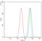 Flow cytometry testing of human HepG2 cells with ALPL antibody at 1ug/million cells (blocked with goat sera); Red=cells alone, Green=isotype control, Blue= ALPL antibody.