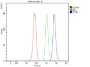 Flow cytometry testing of fixed and permeabilized human HepG2 cells with DDX6 antibody at 1ug/million cells (blocked with goat sera); Red=cells alone, Green=isotype control, Blue= DDX6 antibody.