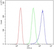 Flow cytometry testing of human PC-3 cells with EIF2B1 antibody at 1ug/million cells (blocked with goat sera); Red=cells alone, Green=isotype control, Blue= EIF2B1 antibody.