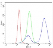 Flow cytometry testing of human K562 cells with GATA1 antibody at 1ug/million cells (blocked with goat sera); Red=cells alone, Green=isotype control, Blue= GATA1 antibody.