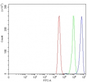 Flow cytometry testing of human MCF7 cells with GRB7 antibody at 1ug/million cells (blocked with goat sera); Red=cells alone, Green=isotype control, Blue= GRB7 antibody.