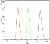 Flow cytometry testing of human A431 cells with HIF1A antibody at 1ug/million cells (blocked with goat sera); Red=cells alone, Green=isotype control, Blue= HIF1A antibody.