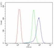 Flow cytometry testing of human U-2 OS cells with LGI1 antibody at 1ug/million cells (blocked with goat sera); Red=cells alone, Green=isotype control, Blue= LGI1 antibody.