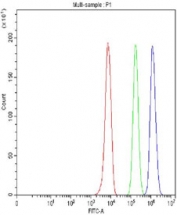 Flow cytometry testing of fixed and permeabilized human HepG2 cells with MSH6 antibody at 1ug/million cells (blocked with goat sera); Red=cells alone, Green=isotype control, Blue= MSH6 antibody.