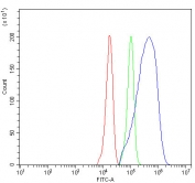 Flow cytometry testing of fixed and permeabilized human HeLa cells with NOX5 antibody at 1ug/million cells (blocked with goat sera); Red=cells alone, Green=isotype control, Blue= NOX5 antibody.