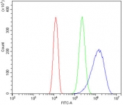 Flow cytometry testing of human U-2 OS cells with OCLN antibody at 1ug/million cells (blocked with goat sera); Red=cells alone, Green=isotype control, Blue= OCLN antibody.