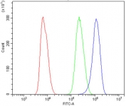 Flow cytometry testing of rat NRK cells with SHANK3 antibody at 1ug/million cells (blocked with goat sera); Red=cells alone, Green=isotype control, Blue= SHANK3 antibody.