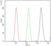 Flow cytometry testing of human A431 cells with TIF1 alpha antibody at 1ug/million cells (blocked with goat sera); Red=cells alone, Green=isotype control, Blue= TRIM24 antibody.