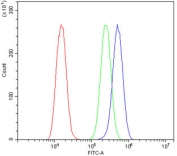 Flow cytometry testing of human A549 cells with 14-3-3 epsilon antibody at 1ug/million cells (blocked with goat sera); Red=cells alone, Green=isotype control, Blue= 14-3-3 epsilon antibody.