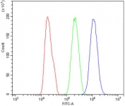 Flow cytometry testing of human PC-3 cells with ABCC5 antibody at 1ug/million cells (blocked with goat sera); Red=cells alone, Green=isotype control, Blue= ABCC5 antibody.