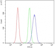 Flow cytometry testing of fixed and permeabilized mouse RAW264.7 cells with ACADSB antibody at 1ug/million cells (blocked with goat sera); Red=cells alone, Green=isotype control, Blue= ACADSB antibody.