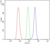 Flow cytometry testing of fixed and permeabilized human ThP-1 cells with ACADSB antibody at 1ug/million cells (blocked with goat sera); Red=cells alone, Green=isotype control, Blue= ACADSB antibody.