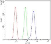 Flow cytometry testing of fixed and permeabilized rat RH-35 cells with ACADSB antibody at 1ug/million cells (blocked with goat sera); Red=cells alone, Green=isotype control, Blue= ACADSB antibody.