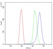 Flow cytometry testing of mouse HEPA1-6 cells with Afm antibody at 1ug/million cells (blocked with goat sera); Red=cells alone, Green=isotype control, Blue= Afm antibody.