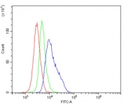 Flow cytometry testing of mouse spleen cells with Afm antibody at 1ug/million cells (blocked with goat sera); Red=cells alone, Green=isotype control, Blue= Afm antibody.