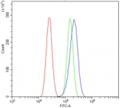 Flow cytometry testing of human U-87 MG cells with ATG7/APG7 antibody at 1ug/million cells (blocked with goat sera); Red=cells alone, Green=isotype control, Blue= ATG7/APG7 antibody.