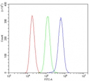 Flow cytometry testing of human ThP-1 cells with CRYAB antibody at 1ug/million cells (blocked with goat sera); Red=cells alone, Green=isotype control, Blue= CRYAB antibody.