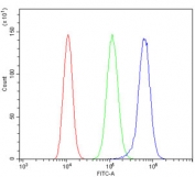 Flow cytometry testing of human ThP-1 cells with CXCR2 antibody at 1ug/million cells (blocked with goat sera); Red=cells alone, Green=isotype control, Blue= CXCR2 antibody.