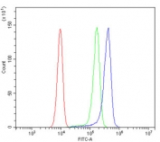 Flow cytometry testing of human SiHa cells with DNM1L antibody at 1ug/million cells (blocked with goat sera); Red=cells alone, Green=isotype control, Blue= DNM1L antibody.