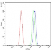 Flow cytometry testing of human SiHa cells with MESP2 antibody at 1ug/million cells (blocked with goat sera); Red=cells alone, Green=isotype control, Blue= MESP2 antibody.