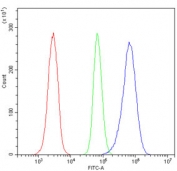 Flow cytometry testing of human HL-60 cells with TRPV2 antibody at 1ug/million cells (blocked with goat sera); Red=cells alone, Green=isotype control, Blue= TRPV2 antibody.