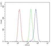 Flow cytometry testing of human U-2 OS cells with VDAC3 antibody at 1ug/million cells (blocked with goat sera); Red=cells alone, Green=isotype control, Blue= VDAC3 antibody.