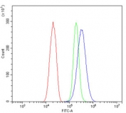 Flow cytometry testing of human SiHa cells with ARG1 antibody at 1ug/million cells (blocked with goat sera); Red=cells alone, Green=isotype control, Blue= ARG1 antibody.