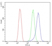 Flow cytometry testing of human SiHa cells with ACO1 antibody at 1ug/million cells (blocked with goat sera); Red=cells alone, Green=isotype control, Blue= ACO1 antibody.