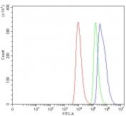 Flow cytometry testing of human HEL cells with ALAS1 antibody at 1ug/million cells (blocked with goat sera); Red=cells alone, Green=isotype control, Blue= ALAS1 antibody.