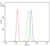 Flow cytometry testing of human ThP-1 cells with Gasdermin D antibody at 1ug/million cells (blocked with goat sera); Red=cells alone, Green=isotype control, Blue= Gasdermin D antibody.