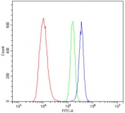 Flow cytometry testing of human HL-60 cells with ApoER2 antibody at 1ug/million cells (blocked with goat sera); Red=cells alone, Green=isotype control, Blue= ApoER2 antibody.
