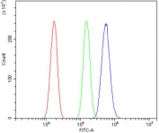 Flow cytometry testing of human U-87 MG cells with PAX3 antibody at 1ug/million cells (blocked with goat sera); Red=cells alone, Green=isotype control, Blue= PAX3 antibody.