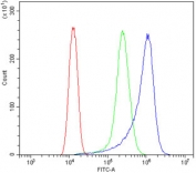 Flow cytometry testing of human HeLa cells with PDE6 alpha antibody at 1ug/million cells (blocked with goat sera); Red=cells alone, Green=isotype control, Blue= PDE6 alpha antibody.