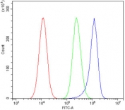 Flow cytometry testing of human A549 cells with PDE6 alpha antibody at 1ug/million cells (blocked with goat sera); Red=cells alone, Green=isotype control, Blue= PDE6 alpha antibody.