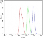 Flow cytometry testing of human HepG2 cells with Semaphorin 6A antibody at 1ug/million cells (blocked with goat sera); Red=cells alone, Green=isotype control, Blue= SEMA6A antibody.