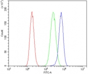 Flow cytometry testing of human PC-3 cells with ATG4A antibody at 1ug/million cells (blocked with goat sera); Red=cells alone, Green=isotype control, Blue= ATG4A antibody.