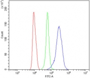 Flow cytometry testing of mouse RAW264.7 cells with ATG7 antibody at 1ug/million cells (blocked with goat sera); Red=cells alone, Green=isotype control, Blue= ATG7 antibody.