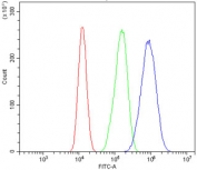 Flow cytometry testing of human Caco-2 cells with AKR1D1 antibody at 1ug/million cells (blocked with goat sera); Red=cells alone, Green=isotype control, Blue= AKR1D1 antibody.