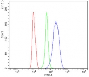 Flow cytometry testing of human RAW264.7 cells with AR antibody at 1ug/million cells (blocked with goat sera); Red=cells alone, Green=isotype control, Blue= AR antibody.