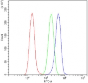 Flow cytometry testing of human A549 cells with AR antibody at 1ug/million cells (blocked with goat sera); Red=cells alone, Green=isotype control, Blue= AR antibody.