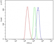Flow cytometry testing of human C6 cells with AR antibody at 1ug/million cells (blocked with goat sera); Red=cells alone, Green=isotype control, Blue= AR antibody.